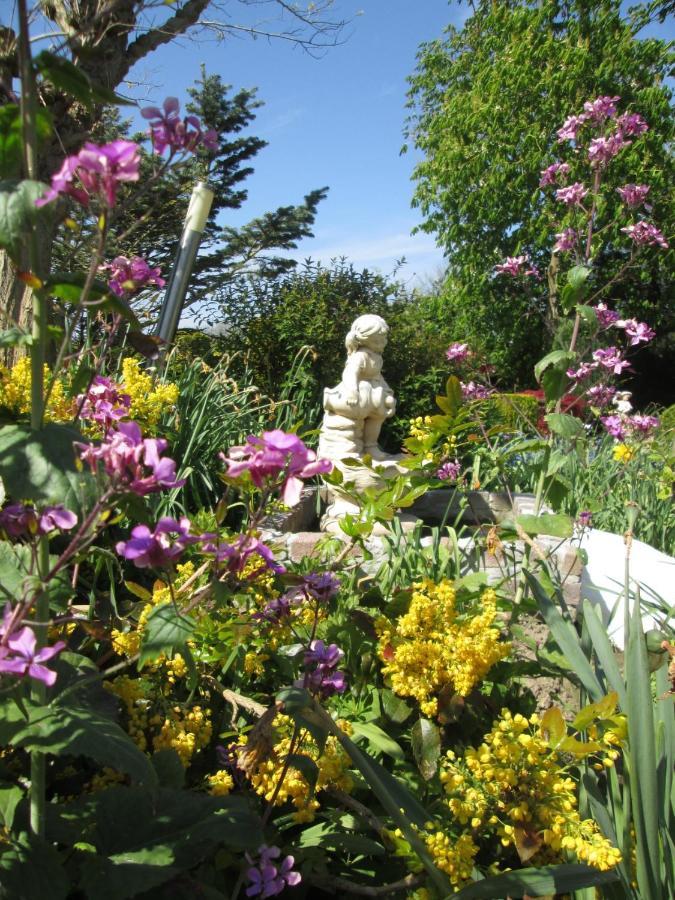 B&B Elbahof, Goed En Goedkoop! Hem Luaran gambar