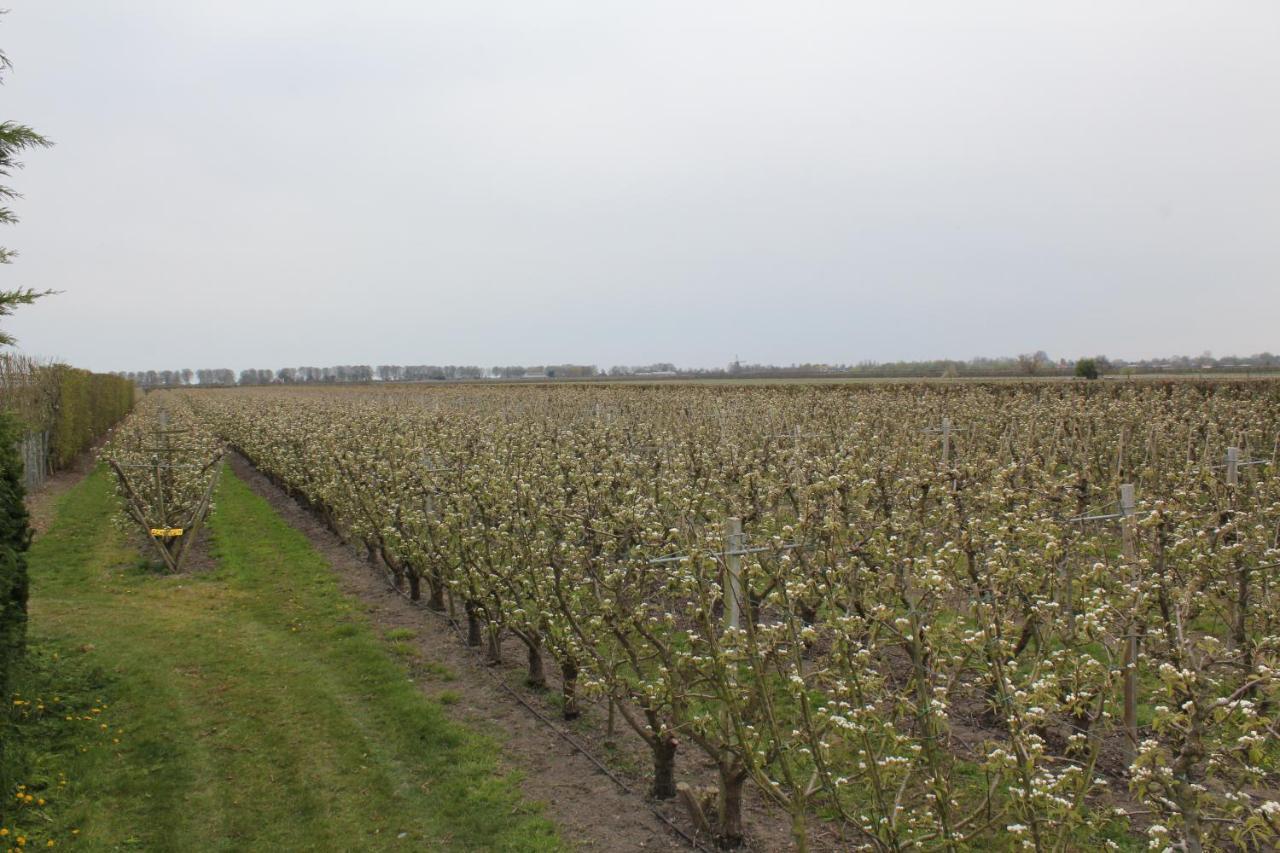 B&B Elbahof, Goed En Goedkoop! Hem Luaran gambar