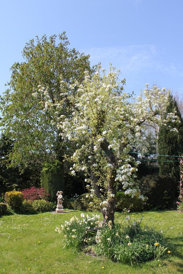 B&B Elbahof, Goed En Goedkoop! Hem Luaran gambar